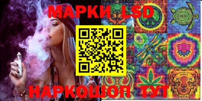 индика Обь