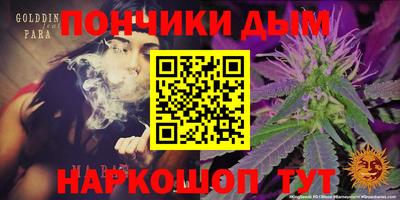 индика Обь