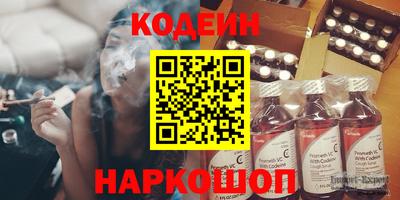 индика Обь